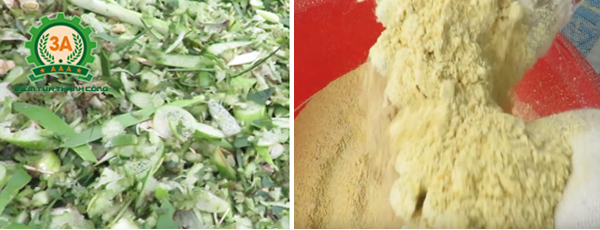 Kỹ thuật nuôi cá trắm cỏ: Thức ăn cho cá trắm cỏ rất đơn giản