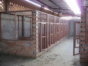 Kỹ thuật nuôi gà đông tảo