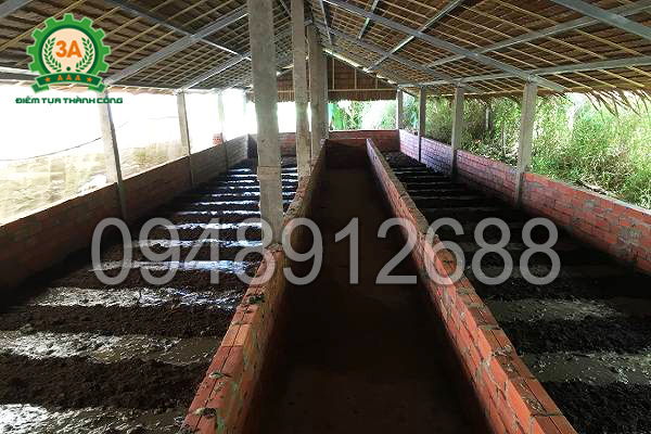 Kỹ thuật nuôi giun quế: Chuồng trại nuôi giun