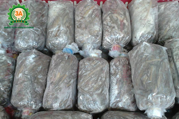 Kỹ thuật trồng nấm rơm trong nhà: Meo giống