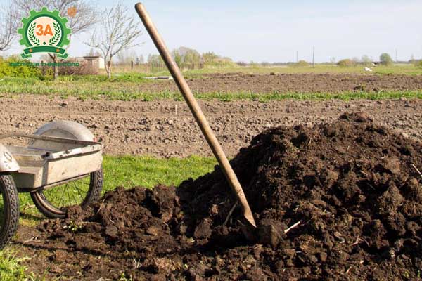 Kỹ thuật trồng tiêu (05)