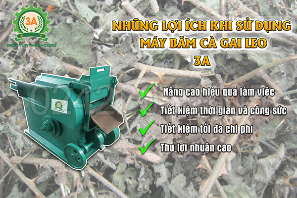 Lợi ích mang lại khi sử dụng Máy băm cà gai leo công suất lớn 3A