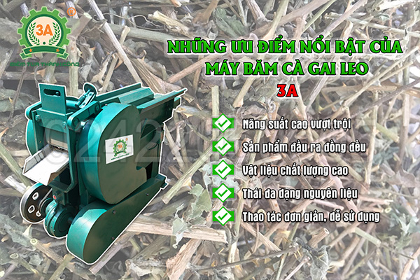 Máy băm cà gai leo công suất lớn 3A có những ưu điểm gì nổi bật?