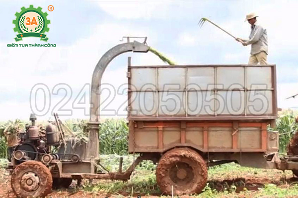Máy băm cây ngô, cỏ voi di động 3A60Hp (06)