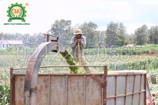 Máy băm cây ngô, cỏ voi di động 3A60Hp (07)