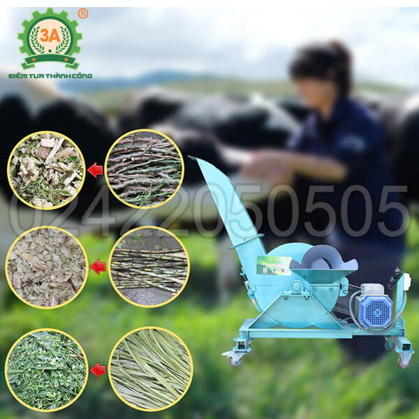 Máy băm cây sắn, cỏ voi 3A3Kw (02)