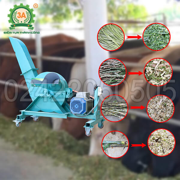 Máy băm cây sắn, cỏ voi 3A3Kw