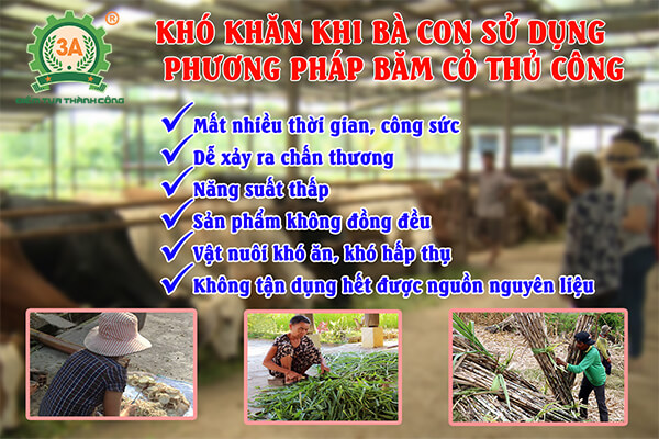 Máy băm cây sắn, cỏ voi 3A3Kw (05)