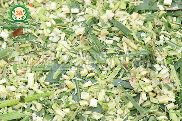 Máy băm cây sắn, cỏ voi 3A3Kw (07)