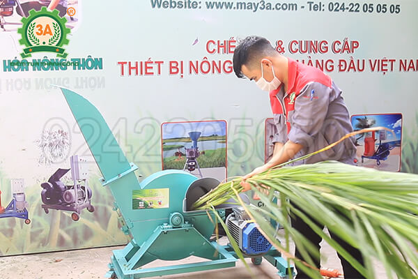 Máy băm cây sắn, cỏ voi 3A3Kw (09)
