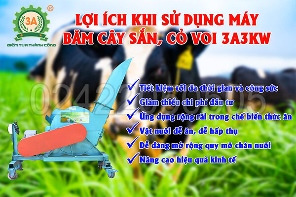 Máy băm cây sắn, cỏ voi 3A3Kw (11)
