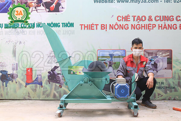 Máy băm cây sắn, cỏ voi 3A3Kw (12)