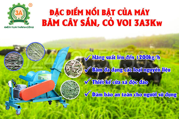 Máy băm cây sắn, cỏ voi 3A3Kw (13)