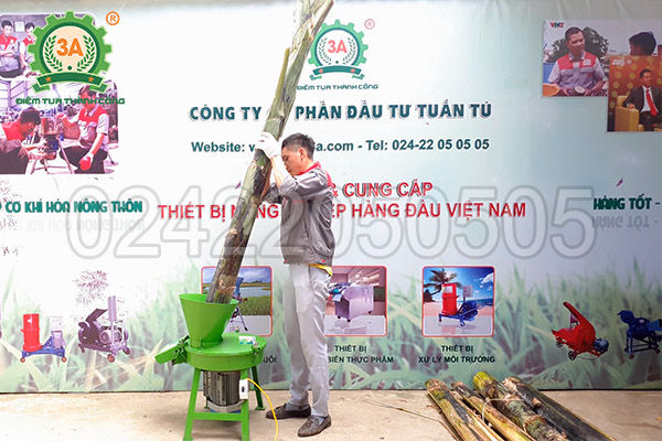 Máy băm chuối dang hạt 3A2,2Kw (05)