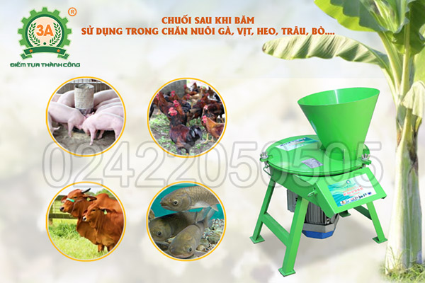 Máy băm chuối dang hạt 3A2,2Kw (19)