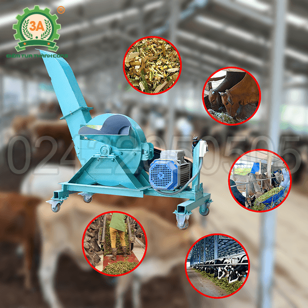 Máy băm chuối, cỏ voi 3A3Kw (02)
