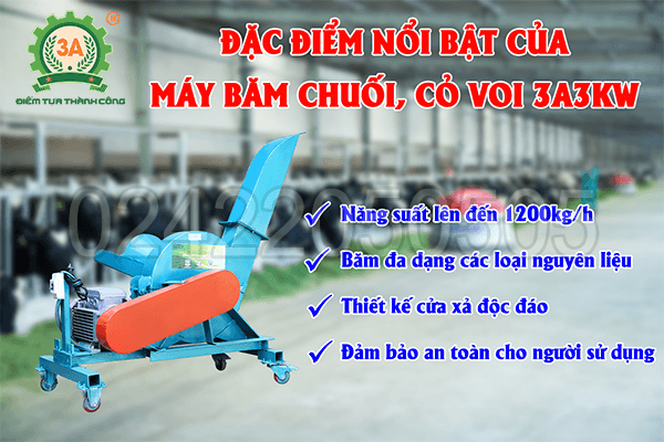 Máy băm chuối, cỏ voi 3A3Kw (06)