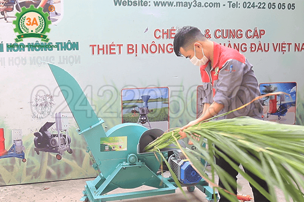 Máy băm chuối, cỏ voi 3A3Kw (07)