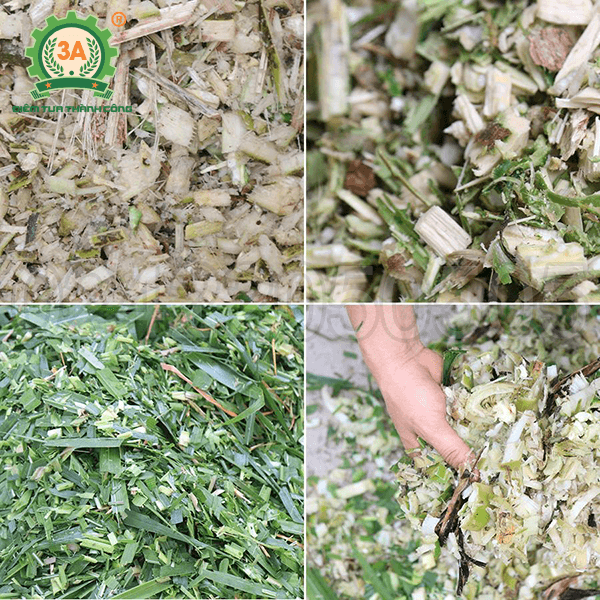 Máy băm chuối, cỏ voi 3A3Kw (08)