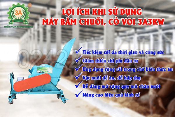 Máy băm chuối, cỏ voi 3A3Kw (12)