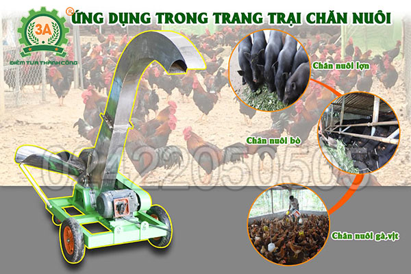 Máy băm chuối công nghiệp 3A7,5kW (04)