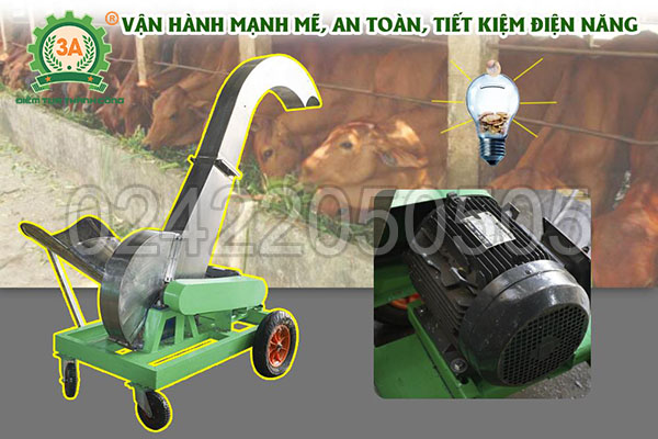 Máy băm chuối công nghiệp 3A7,5kW (05)