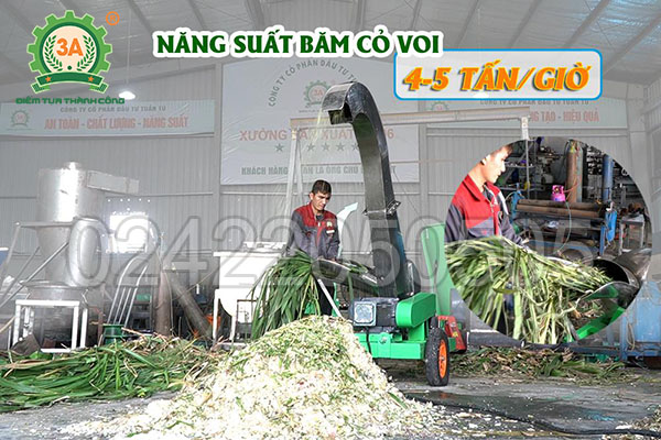 Máy băm chuối công nghiệp 3A7,5kW (07)