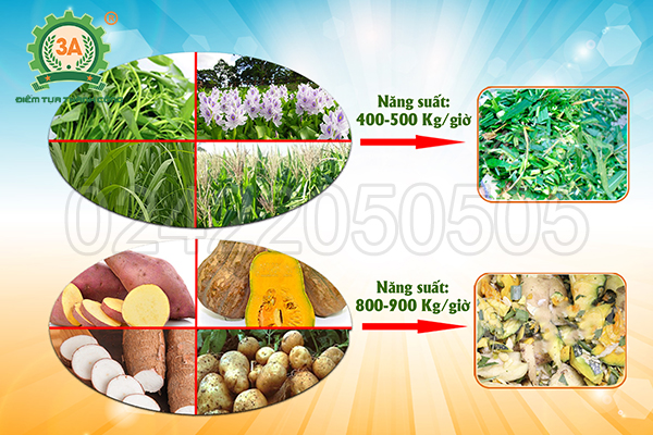 Máy băm cỏ, băm rau củ 3A3Kw