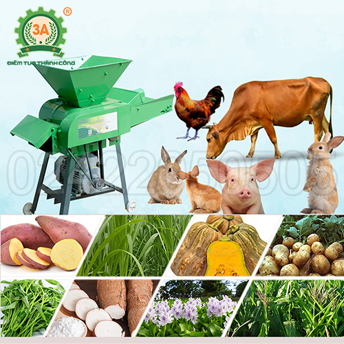 Máy băm cỏ, băm rau củ 3A3Kw