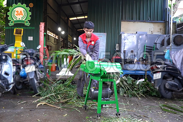 Máy băm cỏ, cây ngô 3A2,2kW có băng tải (03)