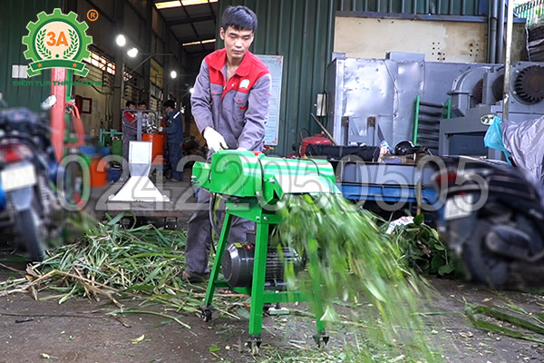 Máy băm cỏ, cây ngô 3A2,2kW có băng tải (06)