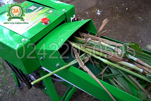 Máy băm cỏ, cây ngô 3A2,2kW có băng tải (12)