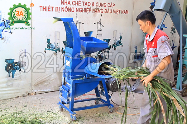 Máy băm cỏ, nghiền ngũ cốc 3A4Kw có cửa nạp và cửa ra độc lập