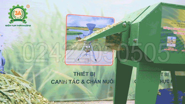 Máy băm cỏ voi 3A3kw 