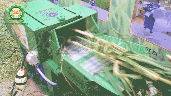 Máy băm cỏ voi 3A