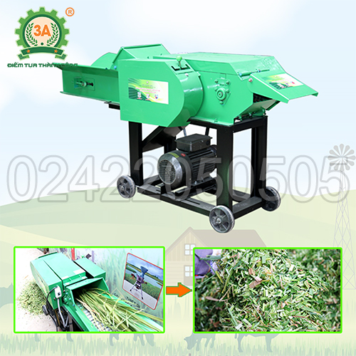 Máy băm đập dập cỏ 3A3Kw có băng tải (01)
