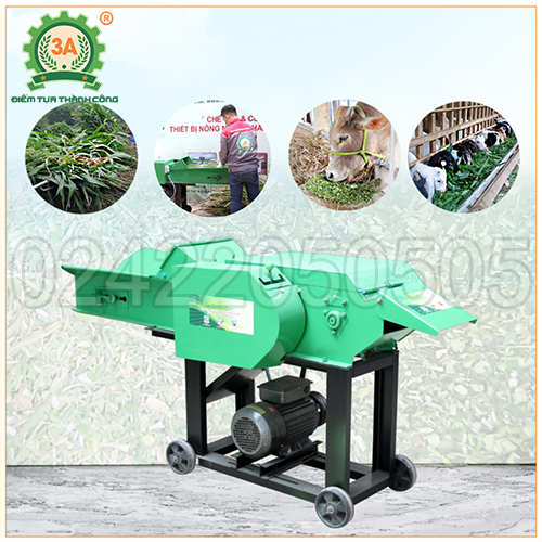 Máy băm đập dập cỏ 3A4kW (có băng tải)