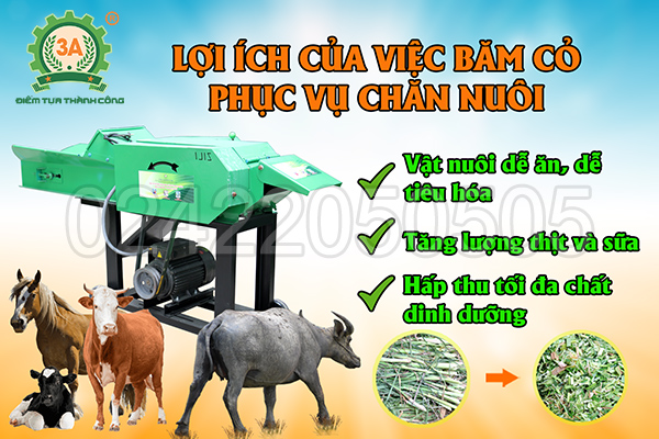 Máy băm đập dập cỏ 3A3Kw có băng tải (06)