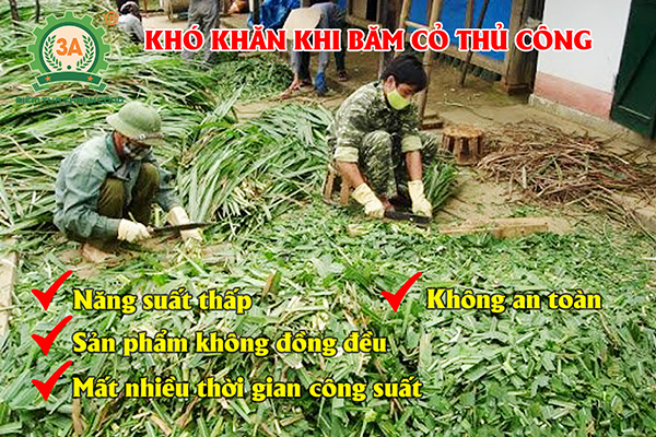 Máy băm đập dập cỏ 3A3Kw có băng tải (07)