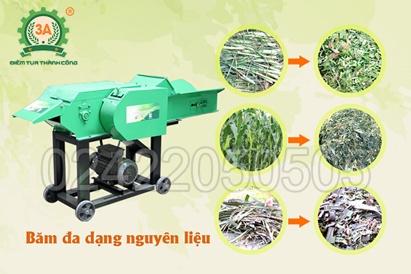 Máy băm đập dập cỏ 3A3Kw có băng tải (09)