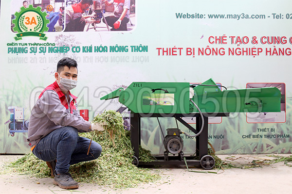 Máy băm đập dập cỏ 3A3Kw có băng tải (14)