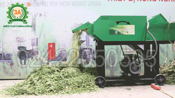Máy băm đập dập cỏ 3A3Kw có băng tải (15)