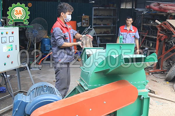 Kỹ thuật viên sử dụng máy băm gỗ 3A55Kw