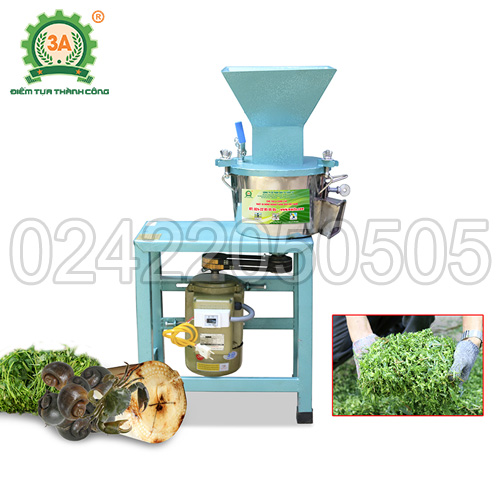 Nuôi gà bằng thảo dược (12)