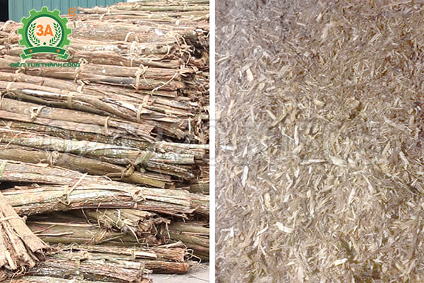 Máy băm rác ván bóc, vỏ cây 3A55Kw (14)