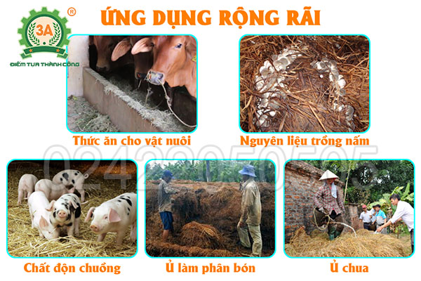 Máy băm rơm 3A22kW (07)