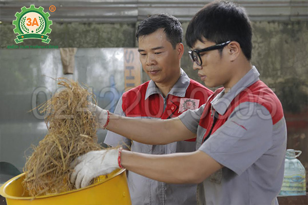 Cho nguyên liệu vào cửa nạp nguyên liệu của Máy băm rơm, xơ dừa, cỏ voi 3A3Kw
