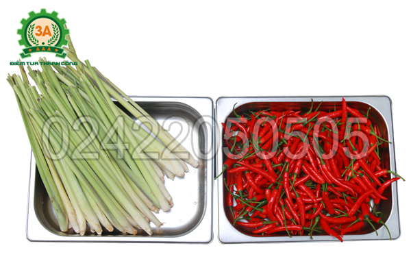 Nguyên liệu đầu vào của máy băm sả, ớt, hành, tỏi 3A2,2Kw