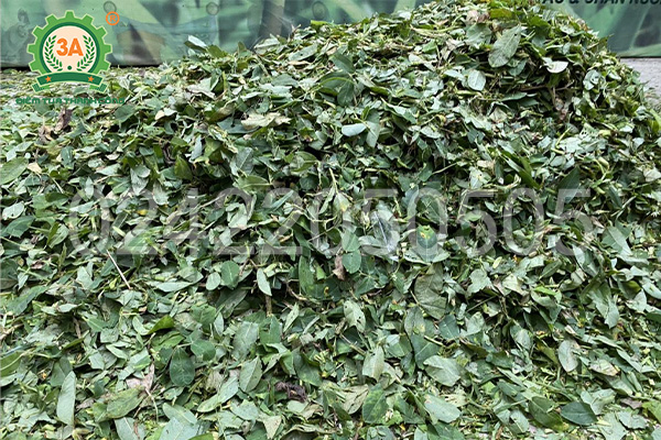 Máy băm cây lạc 3A đa năng 3Kw