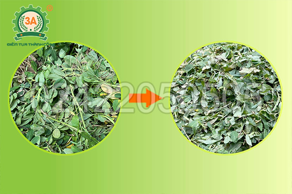 Máy băm thân cây lạc 3A
